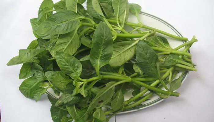 Khám Phá Thế Giới Rau Rừng Ăn Bánh Xèo: Hương Vị Độc Đáo Từ Miền Tây Đến Khắp Nẻo Đường Khám Phá Thế Giới Rau Rừng Ăn Bánh Xèo: Hương Vị Độc Đáo Từ Miền Tây Đến Khắp Nẻo Đường