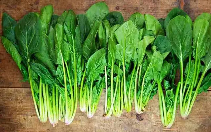 Rau Spinach Là Rau Gì? Giải Đáp Từ A-Z Công Dụng Và Cách Dùng Rau Spinach Là Rau Gì? Giải Đáp Từ A-Z Công Dụng Và Cách Dùng
