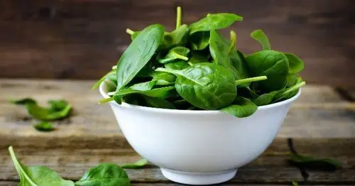 Rau Spinach Là Rau Gì? Giải Đáp Từ A-Z Công Dụng Và Cách Dùng Rau Spinach Là Rau Gì? Giải Đáp Từ A-Z Công Dụng Và Cách Dùng