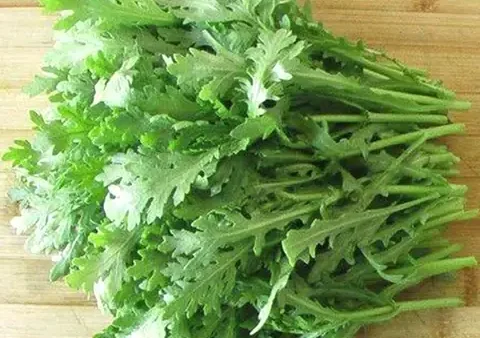 Rau Tần Ô Là Rau Gì? Đặc Điểm, Công Dụng Và Cách Chế Biến