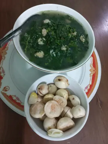 Rau Tập Tàng Miền Bắc: Tất Tần Tật Từ Định Nghĩa Đến Cách Nấu Ngon