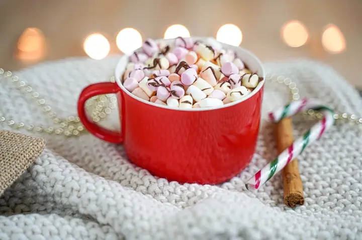 Recette Chocolat Chaud De Noël : La Version Crémeuse Et Festive Parfaite Recette Chocolat Chaud De Noël : La Version Crémeuse Et Festive Parfaite