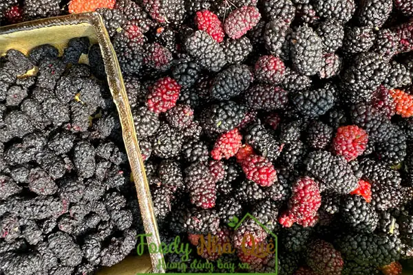 Rượu Dâu Tằm Để Được Bao Lâu? Cách Bảo Quản Và Thời Gian Sử Dụng Tốt Nhất Rượu Dâu Tằm Để Được Bao Lâu? Cách Bảo Quản Và Thời Gian Sử Dụng Tốt Nhất