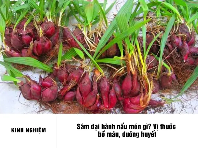 Sâm Đại Hành Nấu Món Gì Ngon? Hướng Dẫn Chế Biến Món Ăn Bổ Dưỡng Sâm Đại Hành Nấu Món Gì Ngon? Hướng Dẫn Chế Biến Món Ăn Bổ Dưỡng