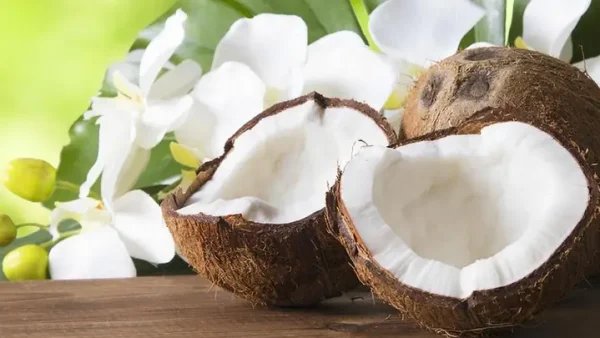 Sau Sinh Ăn Cùi Dừa Được Không? Giải Đáp Thắc Mắc Và Lưu Ý