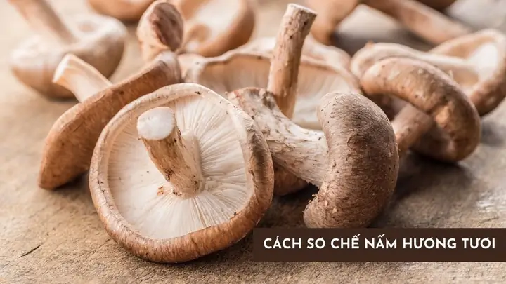 Sơ Chế Nấm Hương Tươi Đúng Cách: Bí Quyết Giữ Trọn Vị Ngon & Sạch Sẽ