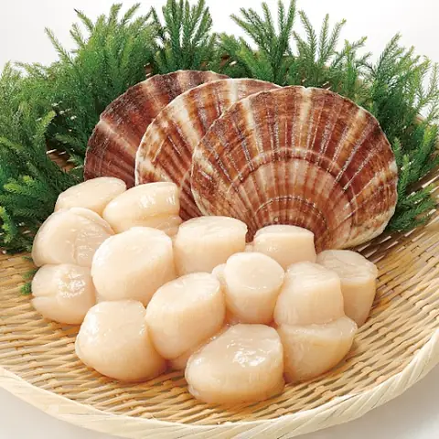 Sò Điệp Tiếng Anh Là Gì? Định Nghĩa, Phát Âm Và Cách Sử Dụng Sò Điệp Tiếng Anh Là Gì? Định Nghĩa, Phát Âm Và Cách Sử Dụng
