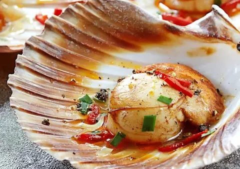 Sò Điệp Tiếng Anh Là Gì? Định Nghĩa, Phát Âm Và Cách Sử Dụng
