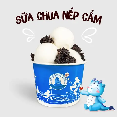 Sữa Chua Trân Châu Hạ Long: Hương Vị Đặc Sản Và Những Địa Điểm Thưởng Thức Ngon Sữa Chua Trân Châu Hạ Long: Hương Vị Đặc Sản Và Những Địa Điểm Thưởng Thức Ngon
