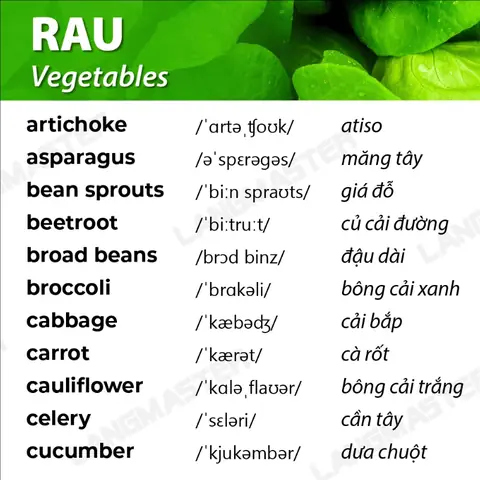 Sụn Gà Tiếng Anh Là Gì? Định Nghĩa Và Cách Gọi Chính Xác Sụn Gà Tiếng Anh Là Gì? Định Nghĩa Và Cách Gọi Chính Xác