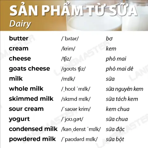 Sụn Gà Tiếng Anh Là Gì? Định Nghĩa Và Cách Gọi Chính Xác Sụn Gà Tiếng Anh Là Gì? Định Nghĩa Và Cách Gọi Chính Xác