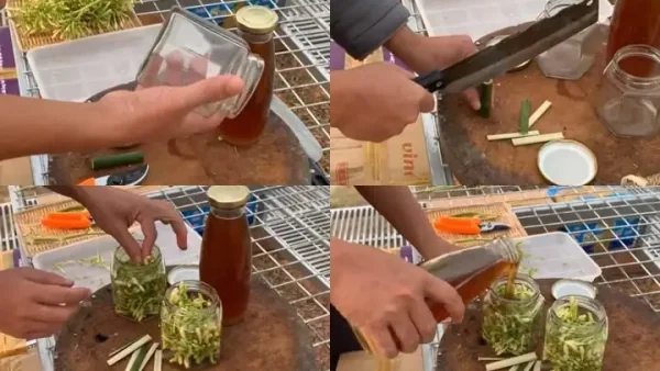 Hoa Đu Đủ Đực Hấp Mật Ong: Tác Dụng, Cách Làm Và Lưu Ý Sử Dụng An Toàn
