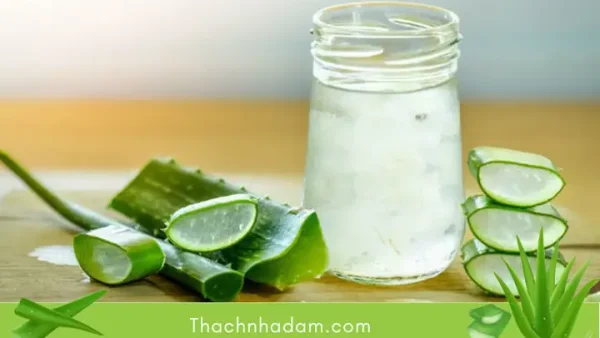 Tác Dụng Tuyệt Vời Của Nước Nha Đam Đường Phèn Cho Sức Khỏe Và Cách Dùng