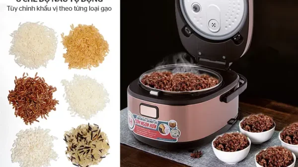 Tại Sao Cơm Gạo Lứt Nấu Bằng Nồi Cơm Điện Thường Bị Khô, Cứng Và Cách Khắc Phục?