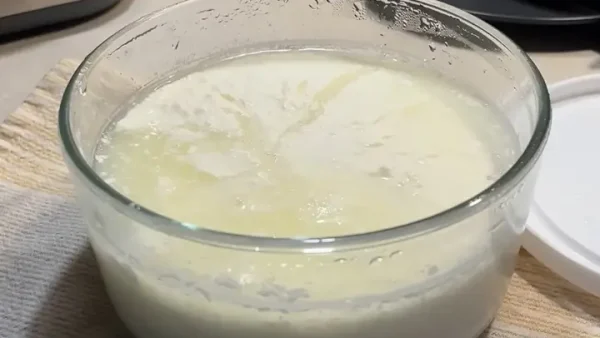 Tại Sao Làm Sữa Chua Không Chua? Nguyên Nhân & Cách Khắc Phục Hiệu Quả