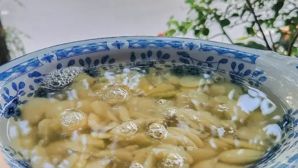 Tết Đoan Ngọ Ăn Gì Để Diệt Sâu Bọ, Tẩy Xui & Mang Lại May Mắn?