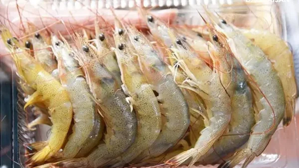 Tôm Sắt Là Tôm Gì? Đặc Điểm, Giá Trị Dinh Dưỡng Và Các Món Ngon Phổ Biến
