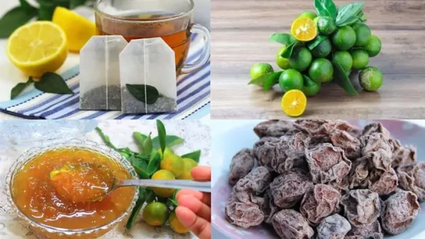 Trà Tắc Xí Muội Là Gì? Công Dụng, Cách Làm Và Lưu Ý Khi Sử Dụng