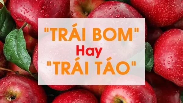 Trái Bơm Là Trái Táo: Giải Mã Nguồn Gốc Tên Gọi Độc Đáo Và Những Điều Thú Vị