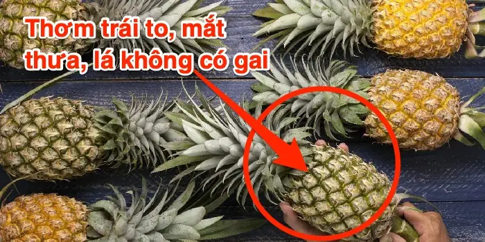 Phân Biệt Trái Thơm Và Trái Khóm: Hướng Dẫn Chi Tiết Từ A-Z