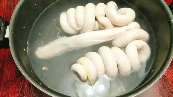 Trễ Lợn Là Bộ Phận Nào Của Con Lợn Và Đặc Điểm Nhận Biết?