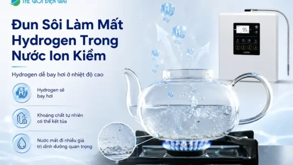 “viên Thuốc Làm Nước Phở”: Sự Thật Hay Lời Đồn Về Gia Vị Nhanh Chóng Cho Món Phở Chuẩn Vị?