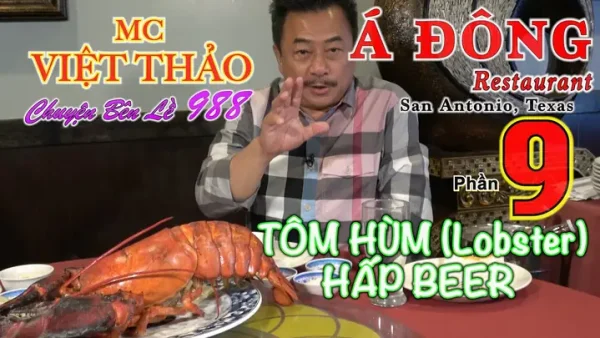 Xem Video MC Việt Thảo Ăn Tôm Hùm: Crawfish, Mì Tôm Hùm Và Hấp Bia