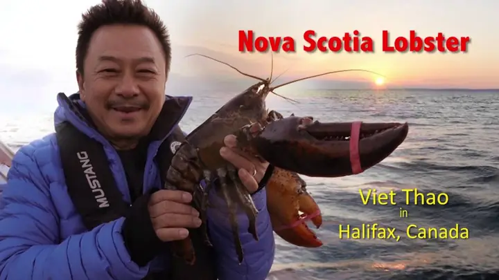Xem Video MC Việt Thảo Ăn Tôm Hùm: Crawfish, Mì Tôm Hùm Và Hấp Bia Xem Video MC Việt Thảo Ăn Tôm Hùm: Crawfish, Mì Tôm Hùm Và Hấp Bia
