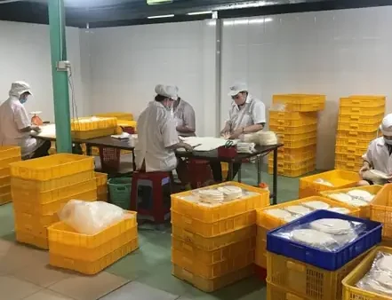 Vỏ Bánh Tráng Đậu Xanh: Cách Chọn, Làm Mềm, Cuốn Và Bảo Quản