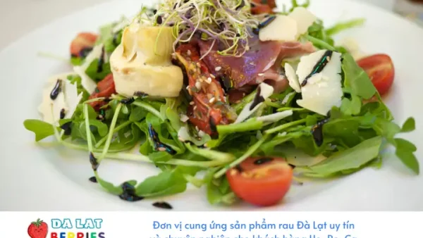 Xà Lách Xoong Đà Lạt: Tác Dụng, Cách Trồng Và Mua Ở Đâu Tươi Ngon