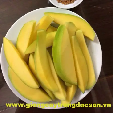 Xoài Keo: Chua Hay Ngọt, Đặc Điểm Nhận Biết Và Cách Thưởng Thức Ngon Xoài Keo: Chua Hay Ngọt, Đặc Điểm Nhận Biết Và Cách Thưởng Thức Ngon