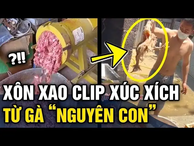"xúc Xích Bẩn Làm Từ Gà Con": Sự Thật Rùng Mình Đằng Sau Những Lời Đồn "xúc Xích Bẩn Làm Từ Gà Con": Sự Thật Rùng Mình Đằng Sau Những Lời Đồn