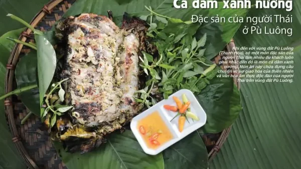 Cá Dầm Là Cá Gì? Nhận Biết Cá Dầm Xanh Và Cá Dầm Biển