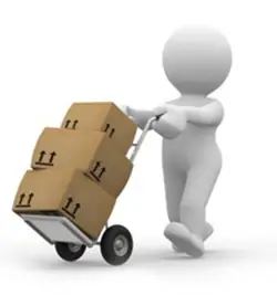 Cá Mèo Là Cá Gì? Phân Biệt Cá Mó, Cá Lưỡi Mèo Và Cá Mèo Petricola