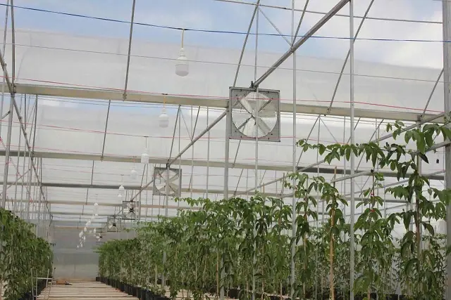 Cách Hầm Gà Cách Thủy Ngon, Mềm Thơm Chuẩn Vị: 5 Công Thức Bổ Dưỡng & Bí Quyết Thành Công 100% Cách Hầm Gà Cách Thủy Ngon, Mềm Thơm Chuẩn Vị: 5 Công Thức Bổ Dưỡng & Bí Quyết Thành Công 100%