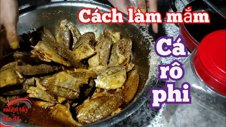 Cách Làm Mắm Cá Rô Phi Tại Nhà: Tỉ Lệ Muối, Gia Vị Và Cách Bảo Quản Cách Làm Mắm Cá Rô Phi Tại Nhà: Tỉ Lệ Muối, Gia Vị Và Cách Bảo Quản