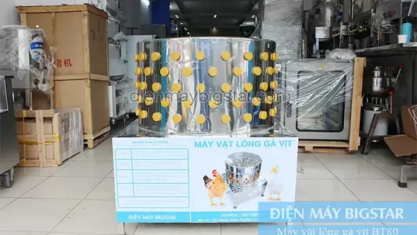 Cách Làm Thịt Thỏ Nhanh Nhất: Sạch Lông, Khử Mùi Và Sơ Chế Tại Nhà