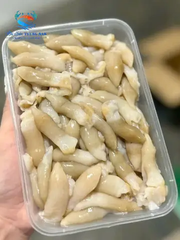 Cách Lấy Ruột Ốc Sống Không Bị Đứt, Lấy Trọn Thịt Nhanh Chóng Cho Các Loại Ốc Phổ Biến Cách Lấy Ruột Ốc Sống Không Bị Đứt, Lấy Trọn Thịt Nhanh Chóng Cho Các Loại Ốc Phổ Biến