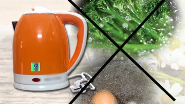 Cách Nấu Ăn An Toàn Bằng Ấm Siêu Tốc: Hướng Dẫn Luộc Trứng, Súp Lẩu Và Lưu Ý Quan Trọng