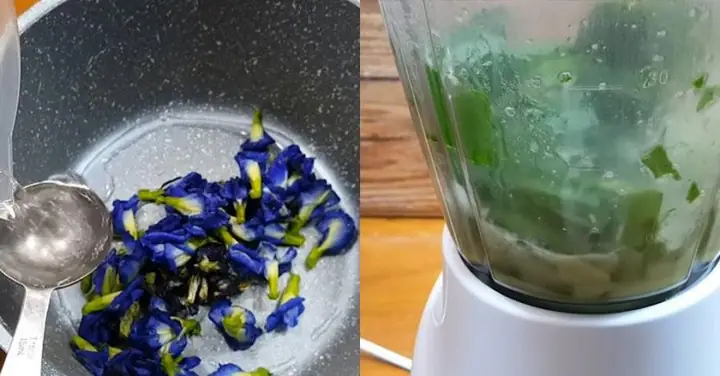 Cách Nấu Đông Sương Lá Dứa Cốt Dừa Dẻo, Thơm Và Không Bị Tách Lớp Cách Nấu Đông Sương Lá Dứa Cốt Dừa Dẻo, Thơm Và Không Bị Tách Lớp
