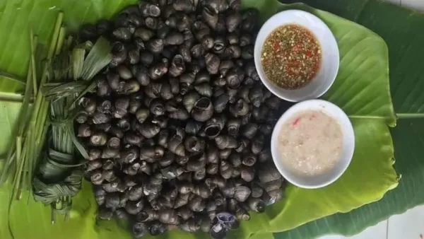 Cách Nấu Ốc Đắng Ngon: 3 Công Thức Hấp Sả, Xào Sả Ớt Và Luộc Mắm Sả