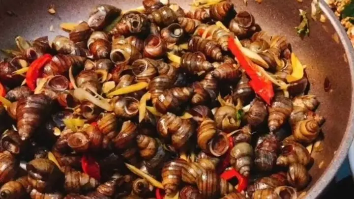 Cách Nấu Ốc Hút Quảng Nam Tại Nhà: Cay Thơm, Đậm Vị Cách Nấu Ốc Hút Quảng Nam Tại Nhà: Cay Thơm, Đậm Vị