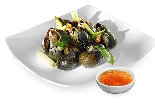 Cách Nấu Ốc Xào Ngon: Tổng Hợp 6 Món Phổ Biến, Bí Quyết Sơ Chế & Xào Đậm Vị Không Nhớt Tanh Cách Nấu Ốc Xào Ngon: Tổng Hợp 6 Món Phổ Biến, Bí Quyết Sơ Chế & Xào Đậm Vị Không Nhớt Tanh