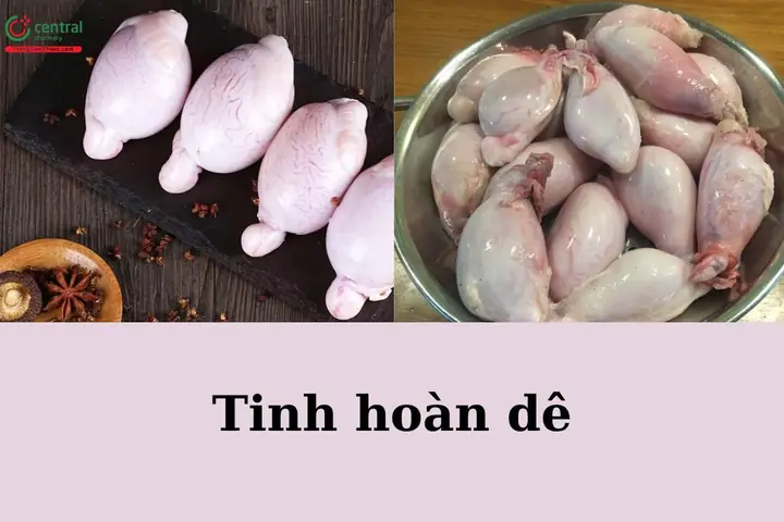 Cách Nấu Pín Dê Hầm Thuốc Bắc Chuẩn Vị, Bổ Dưỡng Từ A - Z Cách Nấu Pín Dê Hầm Thuốc Bắc Chuẩn Vị, Bổ Dưỡng Từ A - Z