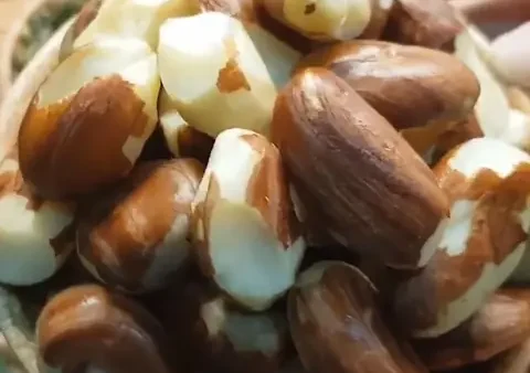 Cách Nấu Sữa Hạt Mít Thơm, Mịn, Béo Tại Nhà Bằng Máy Làm Sữa Hạt Hoặc Máy Xay