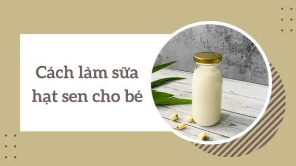 Cách Nấu Sữa Hạt Sen Cho Bé Ăn Dặm Đơn Giản, Dễ Uống