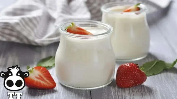 Cách Nấu Sữa Tươi Nguyên Chất Đúng Chuẩn: Giữ Dinh Dưỡng, Có Lớp Váng, Không Bị Đông Tụ