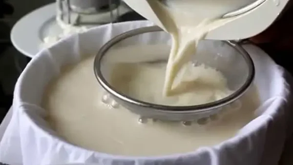 Cách Nấu Tàu Hũ Đá Mềm Tan Tại Nhà Với Đậu Nành Và Rau Câu