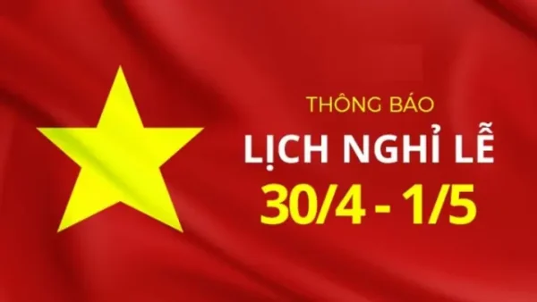 Cách Làm Thạch Rau Câu Từ Bột Pha Sẵn: Đúng Tỷ Lệ, Không Cần Nấu