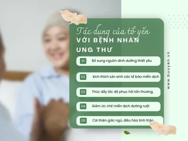 Cách Nấu Tổ Yến Cho Người Ốm: Cháo Ninh Mềm, Dễ Ăn Cách Nấu Tổ Yến Cho Người Ốm: Cháo Ninh Mềm, Dễ Ăn